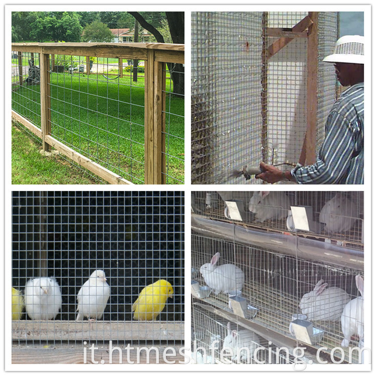 Mesh a filo saldato rivestito in PVC verde MESH 2X2 PVC